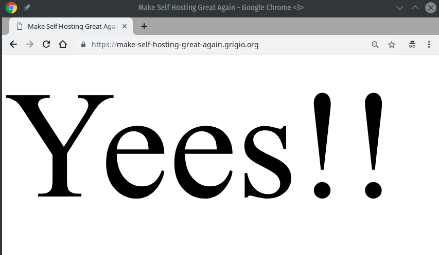 make-self-hosting-great-again